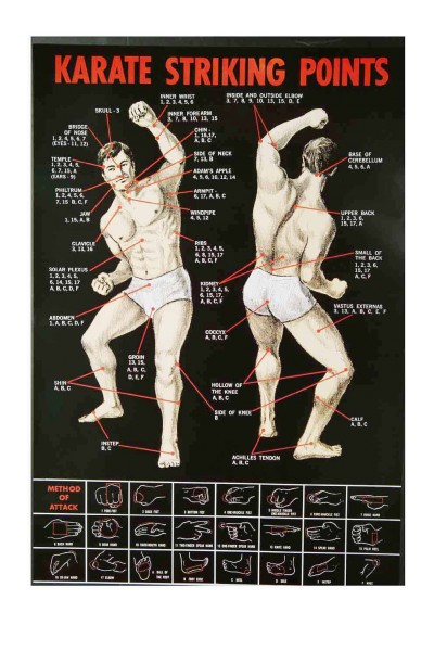 Poster Karate - Striking Points