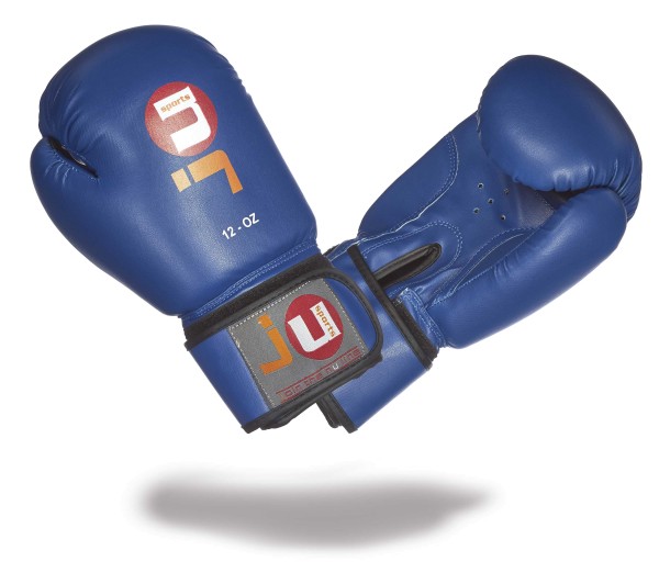 Boxhandschuhe Training blau-altes Modell