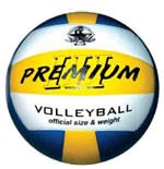 Spartan Indoor Volleyball 8001
