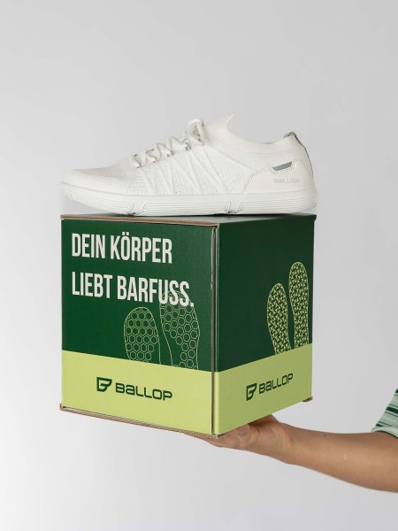 POS Cube Pappe